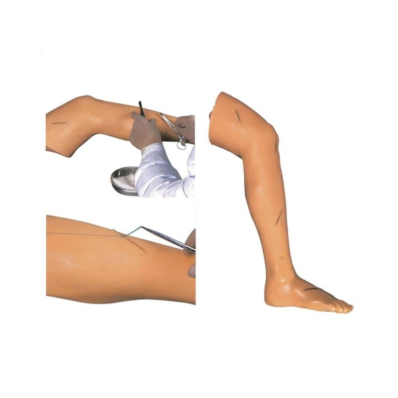 Zaawansowany model do zakładania szwów na nodze
