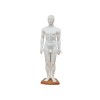 Model budowy człowieka– akupunktura (mężczyzna 60cm)