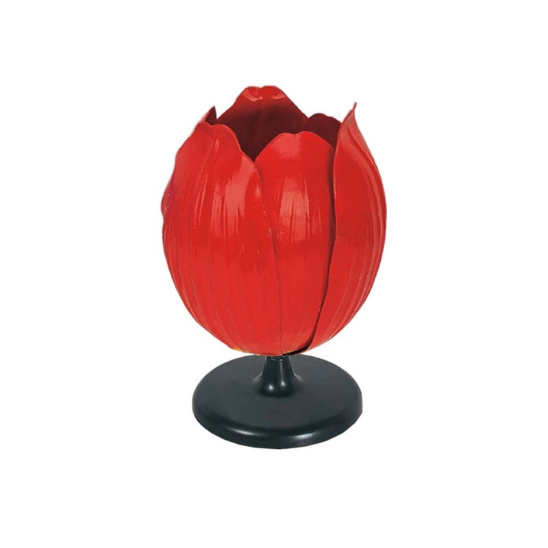 Model kwiatu tulipana